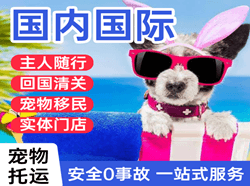 左旗巴彦浩特机场快运国际宠物托运 【国